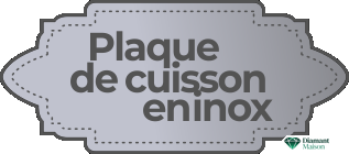 Plaque de cuisson en inox 304, idéal pour la cuisine en extérieur.